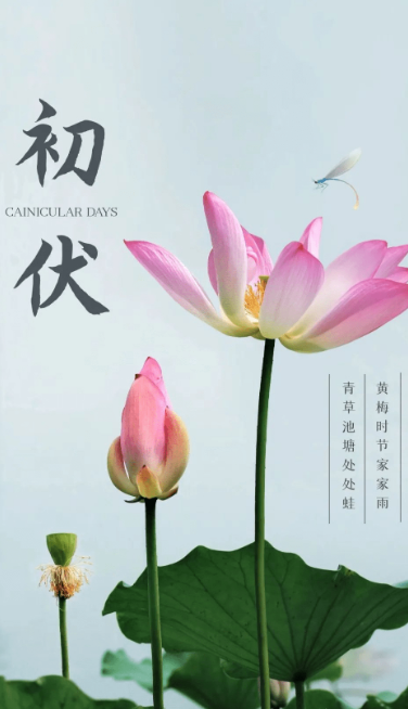 熱、熱、熱！入伏中……